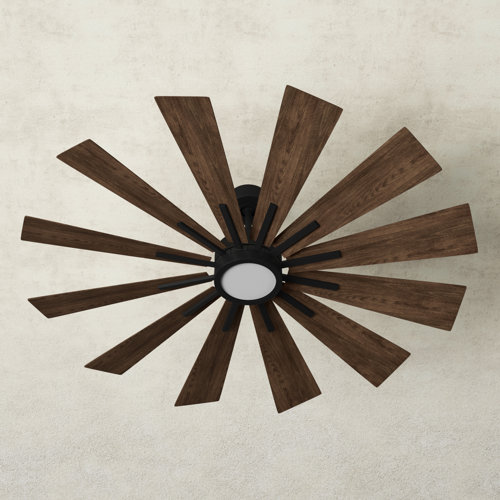 Farmhouse & Rustic Light Kit Included Ceiling Fans Birch Lane